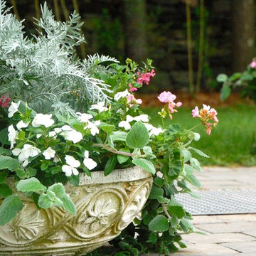 container plantings for summer