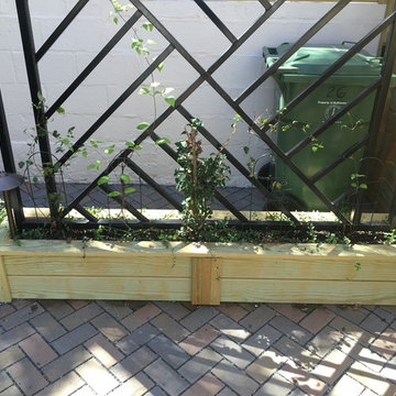 Baltimore Backyard