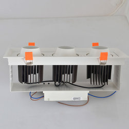 LED down light - Ceiling Lighting