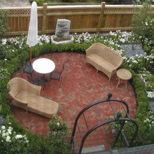 outdoor plants
