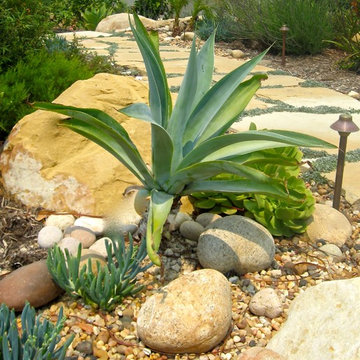 Landscape Gardens