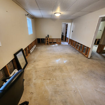 Basement Finish with bathroom