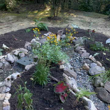 Back Yard Pond - Avon
