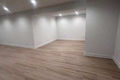 Basement Remodel