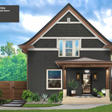 Denver Modern Victorian