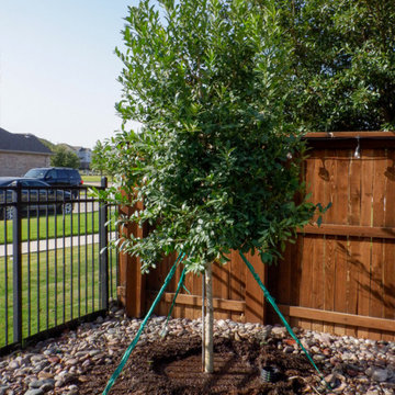 Privacy Screens