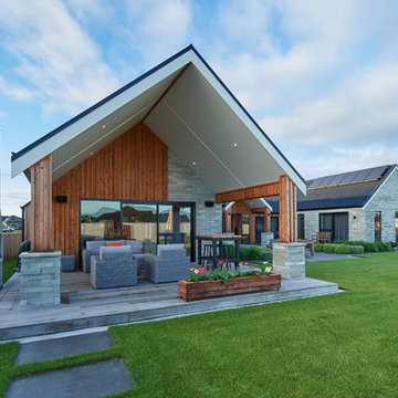 Pod and Link House