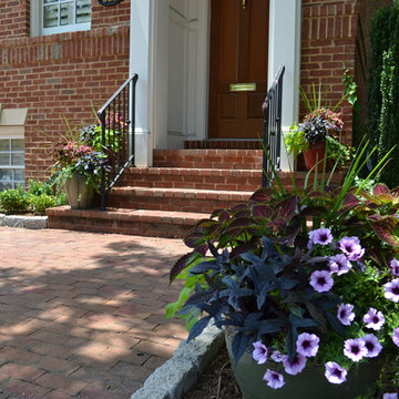 Townhouse Garden