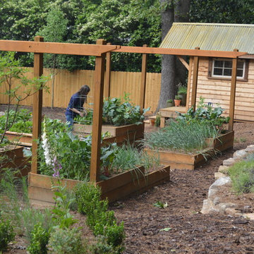 Sandy Springs Edible Backyard Garden