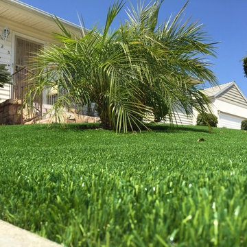 Artificial Grass