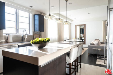 Kitchen - modern kitchen idea in Los Angeles