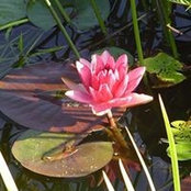 Tina Morrow's photo