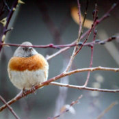 Rupali Arte's photo