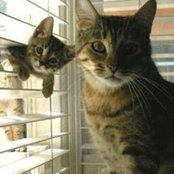Fara Farid's photo