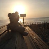 Silke Steinraths's photo