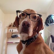 Stephen McCormick's photo