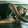 webuser_417200