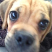 Marcella Reynolds-Beyer's photo