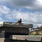 Kelly James's photo