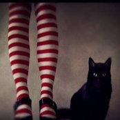 Catherine Schaff Steiner's photo