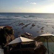 Sophie Jasson-Holt's photo