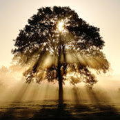 Julien Szymanek's photo
