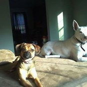Maribeth Carey's photo