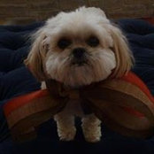 Maggie Windsor's photo