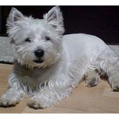 Jane Davies's photo