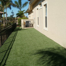 dog area