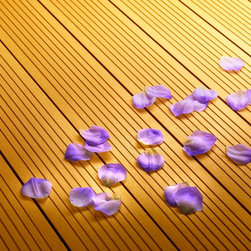 Disegna Decking - Products