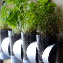 kitchen wall garden