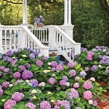 Darlington Landscaping