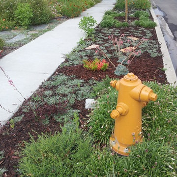 Water Conserving Landscape Project