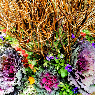 Playful Autumn Planters