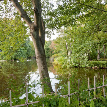 Swan Pond