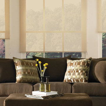 Designer Screen Shades