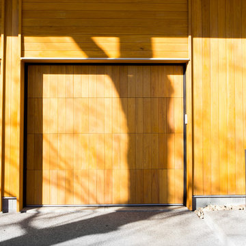Cypress and Cedar