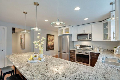 Trendy kitchen photo in Minneapolis