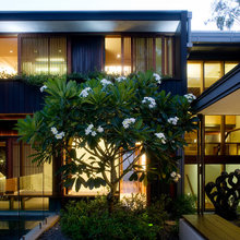 Gardens That Dazzle After The Sun Sets