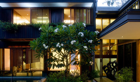 On the Night Shift: Gardens That Dazzle After Dark