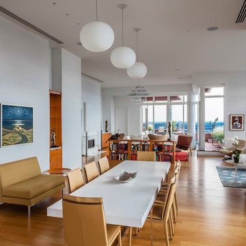 Upper East Side Penthouse