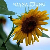Dana Jung's photo