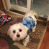 Heather Elswicks foto