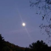 Tina Dennett's photo