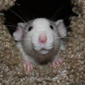 Velma Ricketts's photo