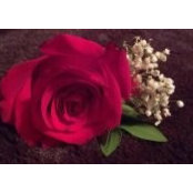 Dianna Skinner's photo