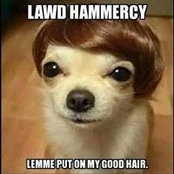 Jess Bachicha's photo