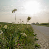 Jillian Herrmann's photo