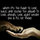 joey_pavlock